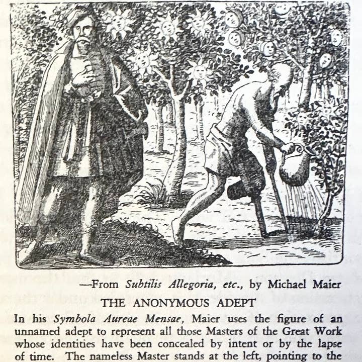 PRS Bookstore - Vendita all'ingrosso Filosofia - Ordini della Grande Opera: Alchimia3