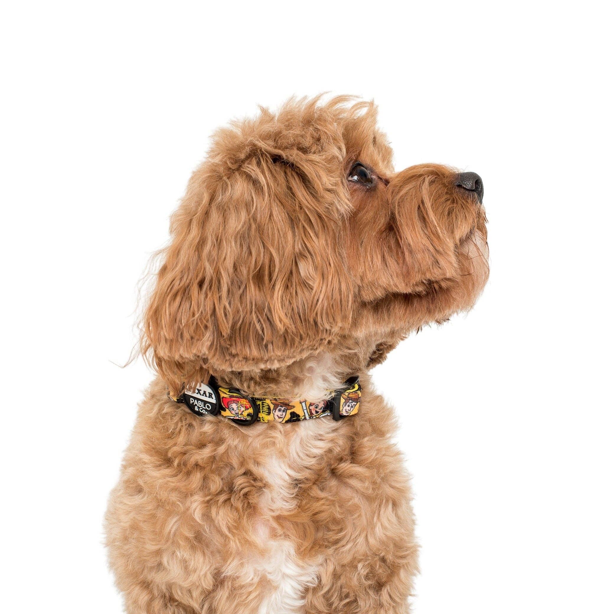 Pablo & Co. Boutique - Wholesale Pet Collar - Dog - Toy Story - Woody's Roundup: Dog Collar1
