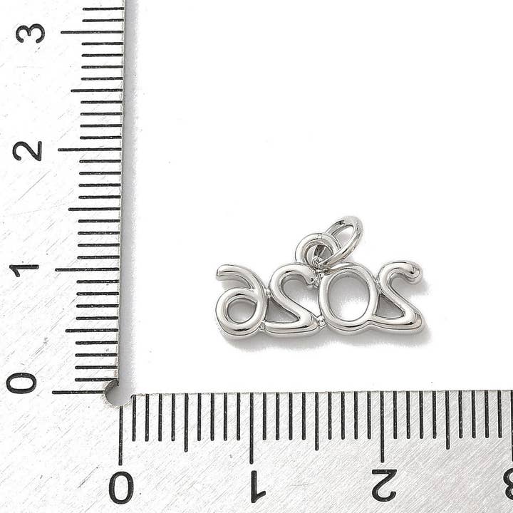 Love, Paige Designs - Wholesale Individual Charm/Pendant - Year 2026 Silver Charm2