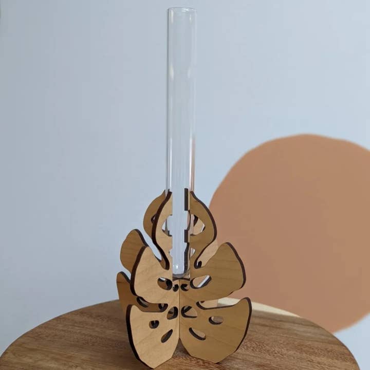 Monster Monstera Propagation Station for wholesale by Catchpenny