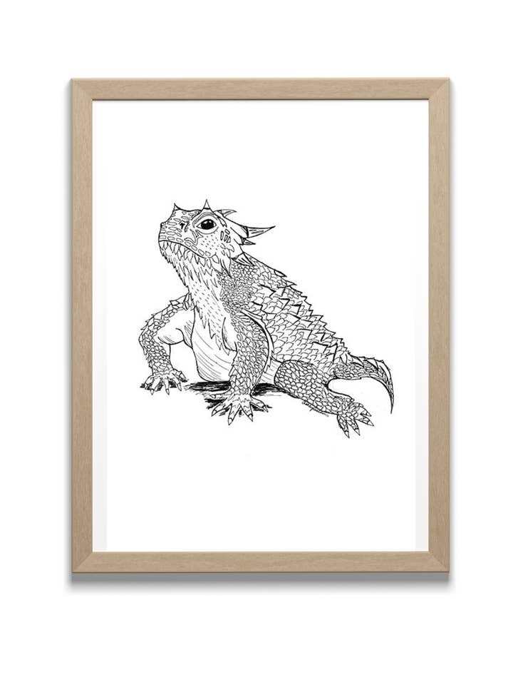 Horned Toad Sketch - Original Art Print for wholesale by Locksley Workshop