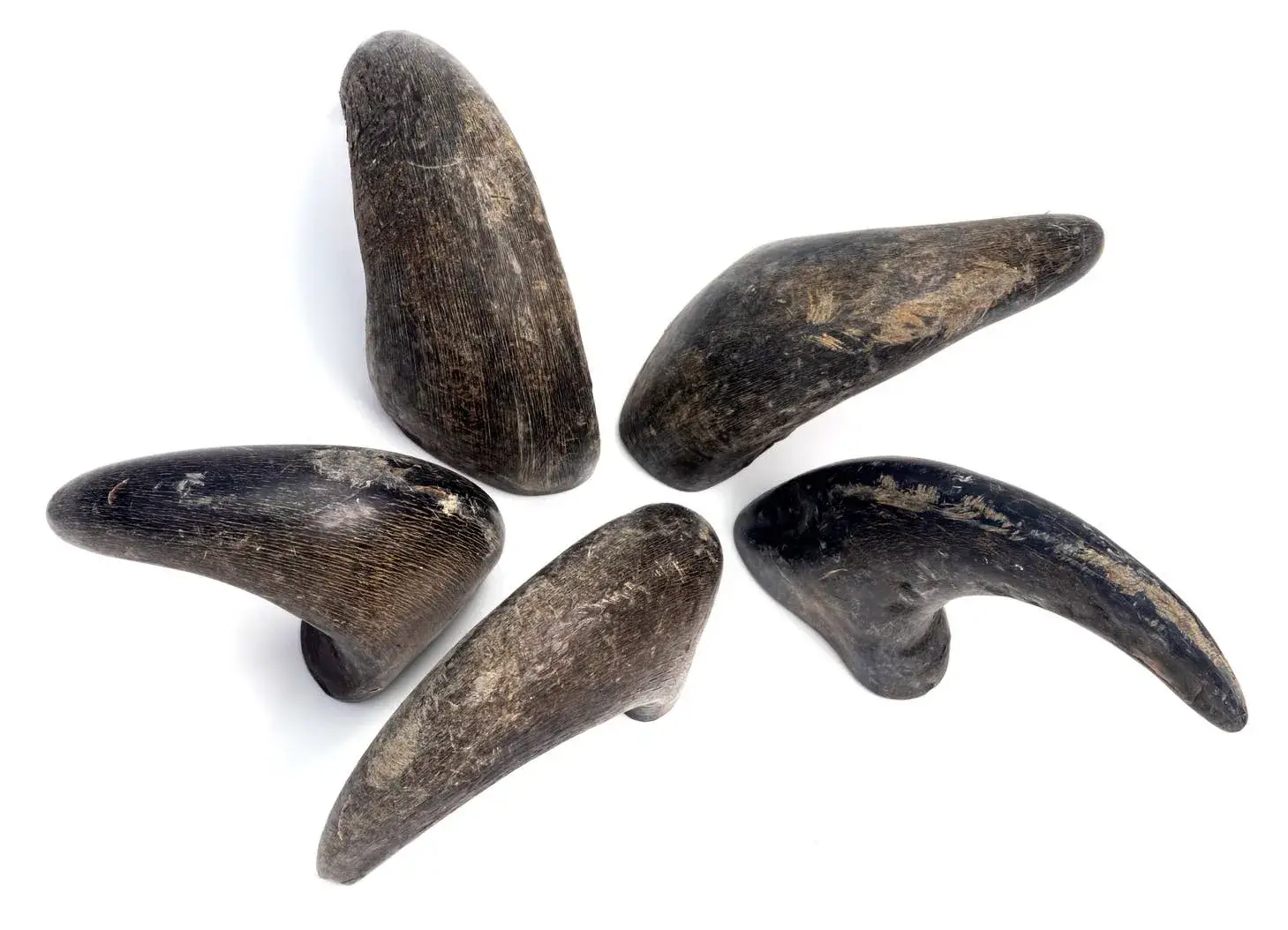 Durkha Dog Chew - Wholesale Pet Chew Toy - Dog - 3.5 Oz Durkha Buffalo Horn - Small1