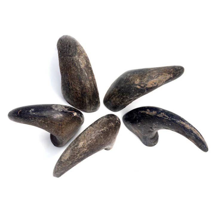 Durkha Dog Chew - Wholesale Pet Chew Toy - Dog - 3.5 Oz Durkha Buffalo Horn - Small1