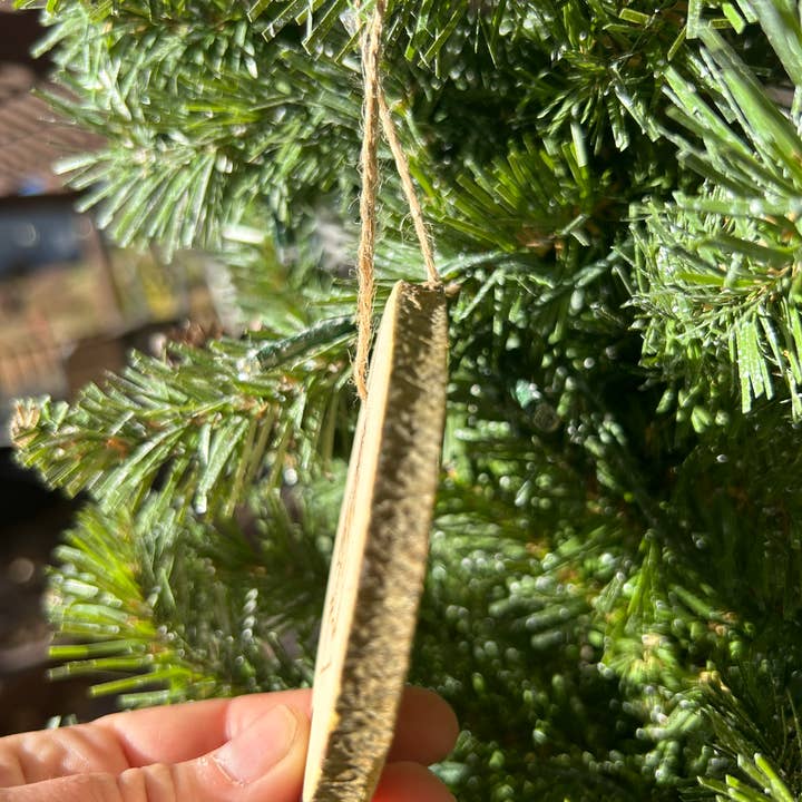 Parks Art Collection - Vente Objets de décoration - Décoration de Noël America Funny, Redneck Gift Funny4