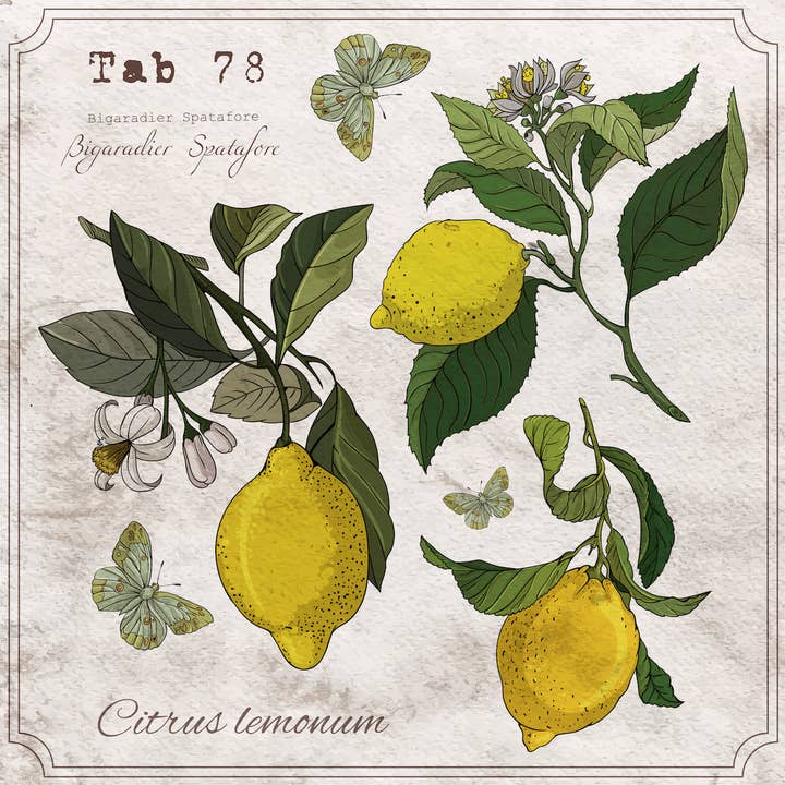 Lemon Botany Cocktail Napkins for wholesale by European Excellency