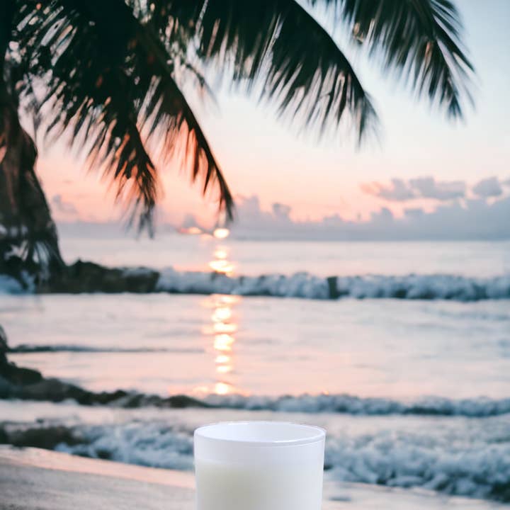 Sea Salt & Palm 11 oz jar candle for wholesale by Davidson Candle Company LLC