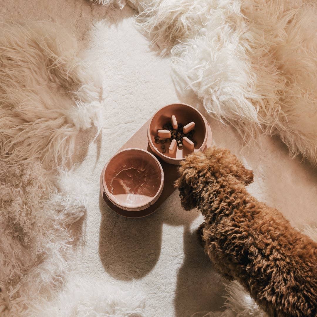 PINO – Engroshandel Kæledyrsskål – Hund – Klassisk skål51