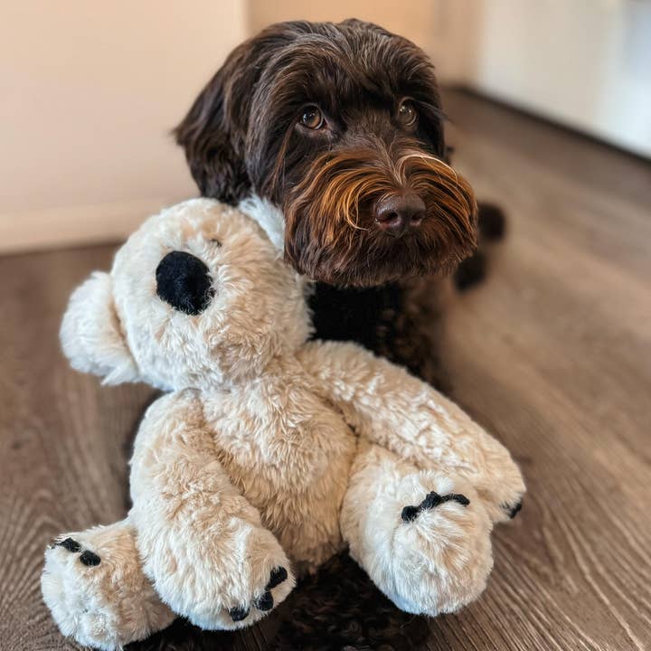 Fur Elise Pets - Wholesale Pet Plush Toy - Dog - Koko Maxi Plushie18