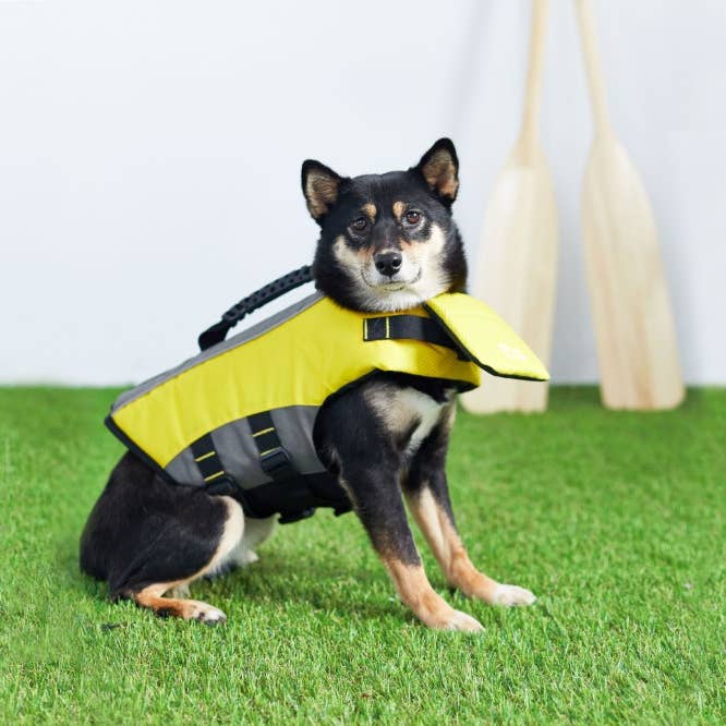GF Pet – wholesale Pet vest – Dog – GF Pet Life Vest: Yellow4