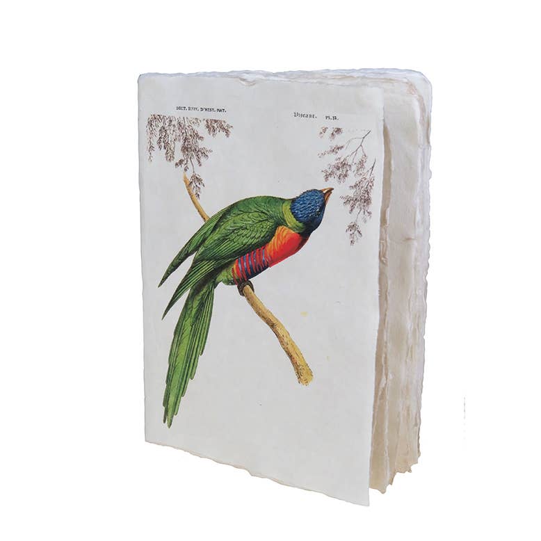 Epigram - Wholesale Notebook - Tropical Bird Parchment Notebook1