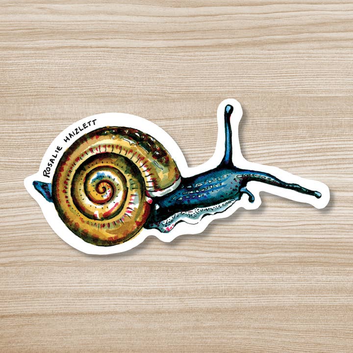 Blue Snail Waterproof Sticker for wholesale by Rosalie Haizlett Illustration