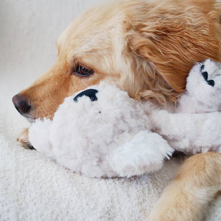 Fur Elise Pets - Wholesale Pet Plush Toy - Dog - Koko Maxi Plushie3