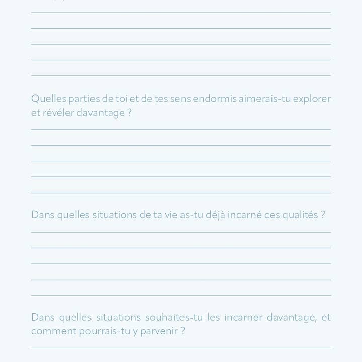 AVENTURA ÉDITIONS - Wholesale Notebook - Wellness Journal3