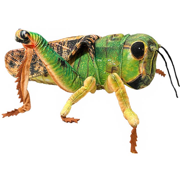 Texas Toy Distribution - Wholesale Stuffed/Plush Toy - Kids & Baby - Grasshopper Insect Plush 15" Realistic Stuffed Animal