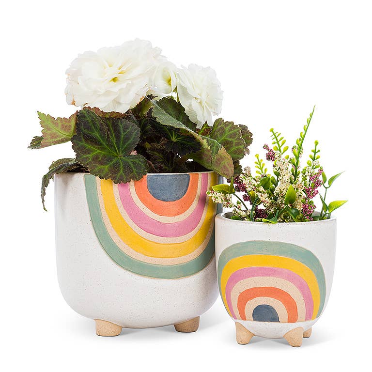 Abbott – Engroshandel Plantekrukke – Sm Rainbow Planter m/Ben-4" H4