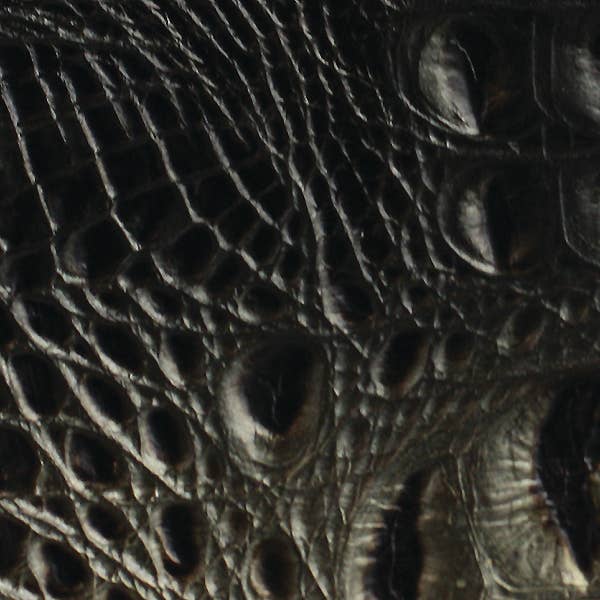 Zina Kao Exclusives – wholesale Crossbody bag – Women's – The Dragonskin Octavia8