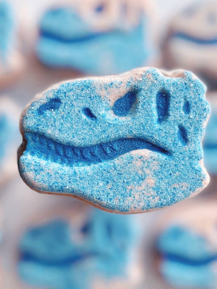 Dinosaur Fossil Bath Bomb for wholesale by The Sister Made