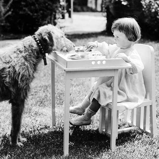 Girl & Dog at table blank greetings card for wholesale by Inky Blue Ltd t/a Holy Mackerel