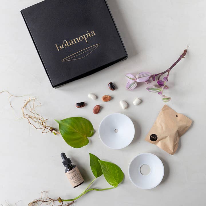 Botanopia - gifts , decor and cards for plant lovers - Wholesale Plant Seeds - Deluxe Gift Box – Germination & Propagation in water4