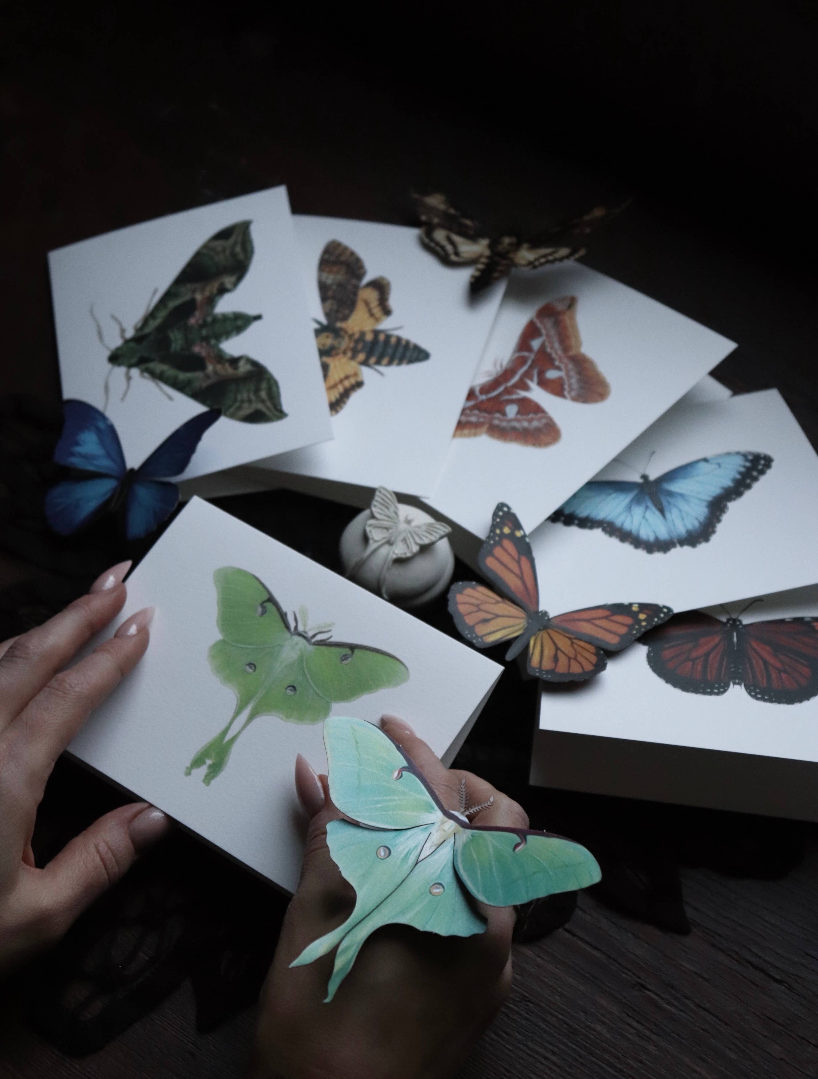 Open Sea - Wholesale Everyday Greeting Card - Blue Morpho Greeting Card2