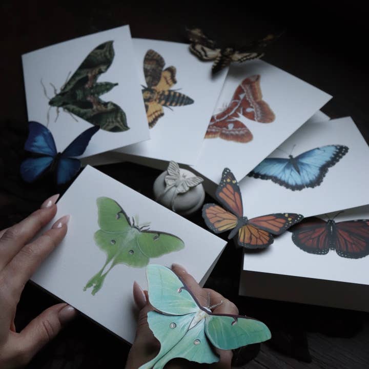 Open Sea - Wholesale Everyday Greeting Card - Blue Morpho Greeting Card2