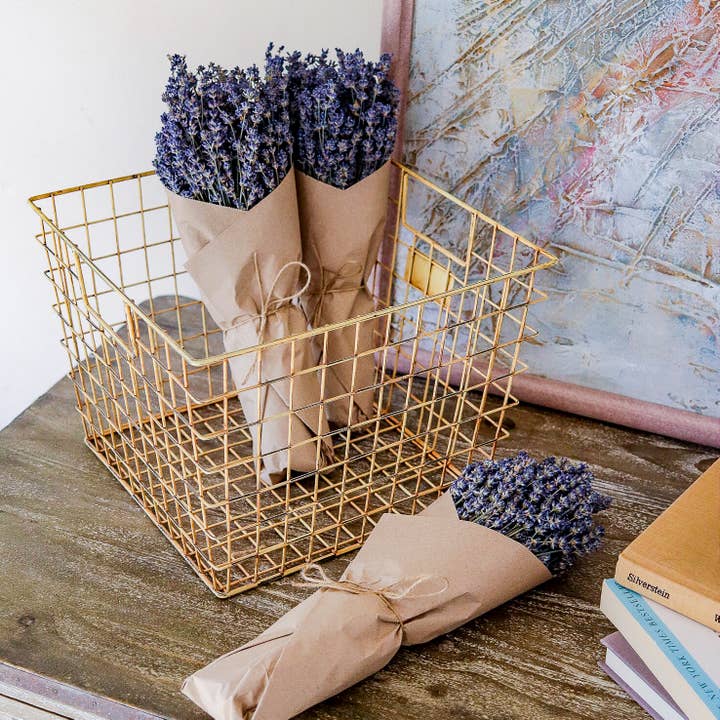 Nustad Family Ranch - Wholesale Dried/Pressed Flowers - Lavender Bunch 350 stems1