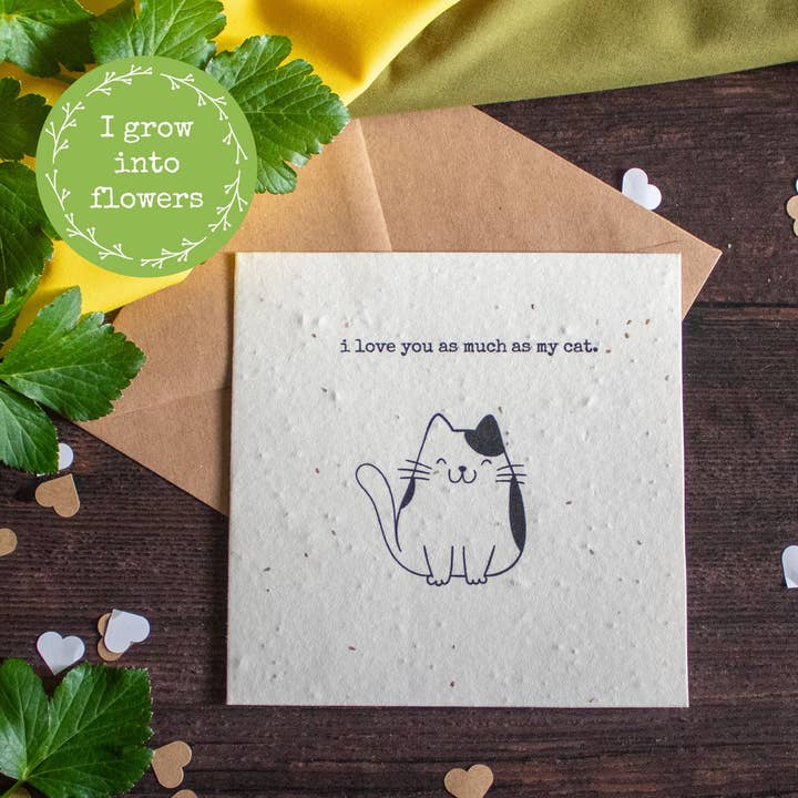 Plantable Greetings Card - 'I Love You As Much As My Cat' for wholesale by The Naughty Shrew