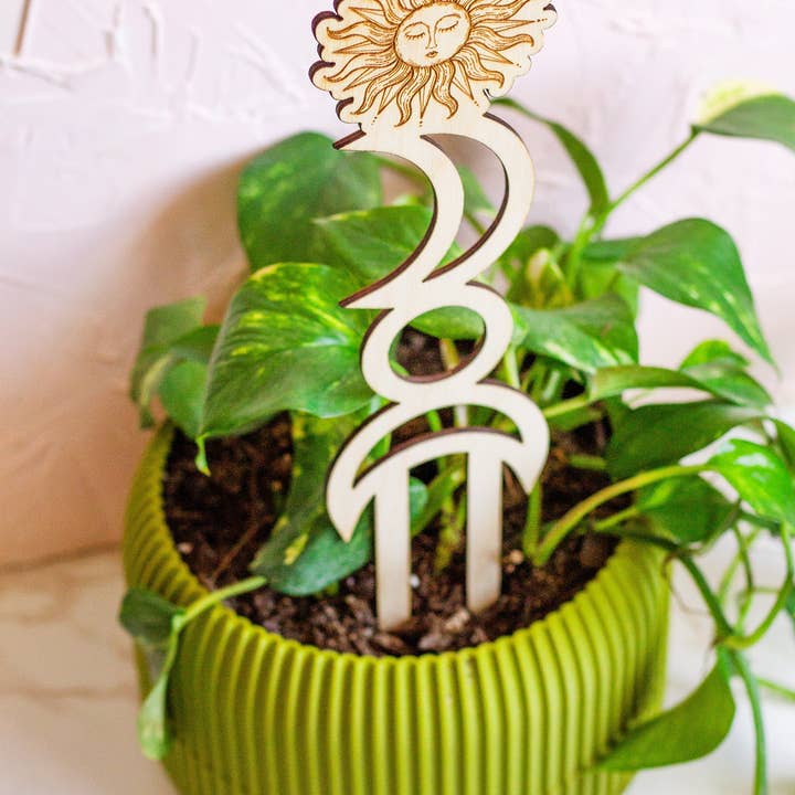 The Print Pantry - Vente Treillis - Tuteur en bois pour plantes Soleil et Lune8