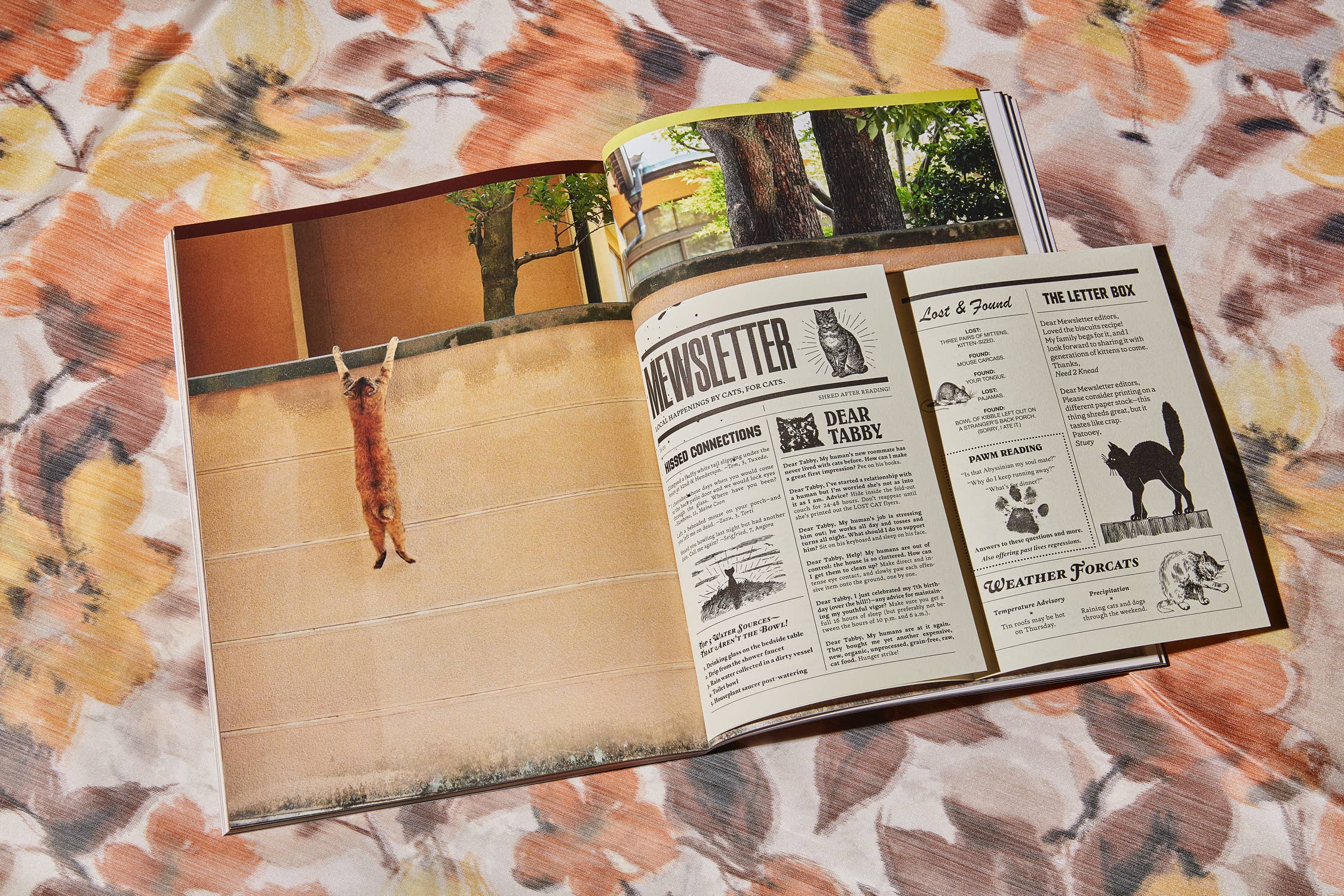 Broccoli - Wholesale Magazine - Catnip Magazine5