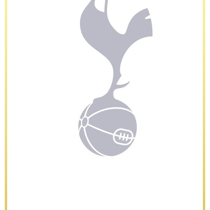 Cartão de Estatísticas Personalizado Branco 24 do Tottenham Hotspur por atacado de Themed