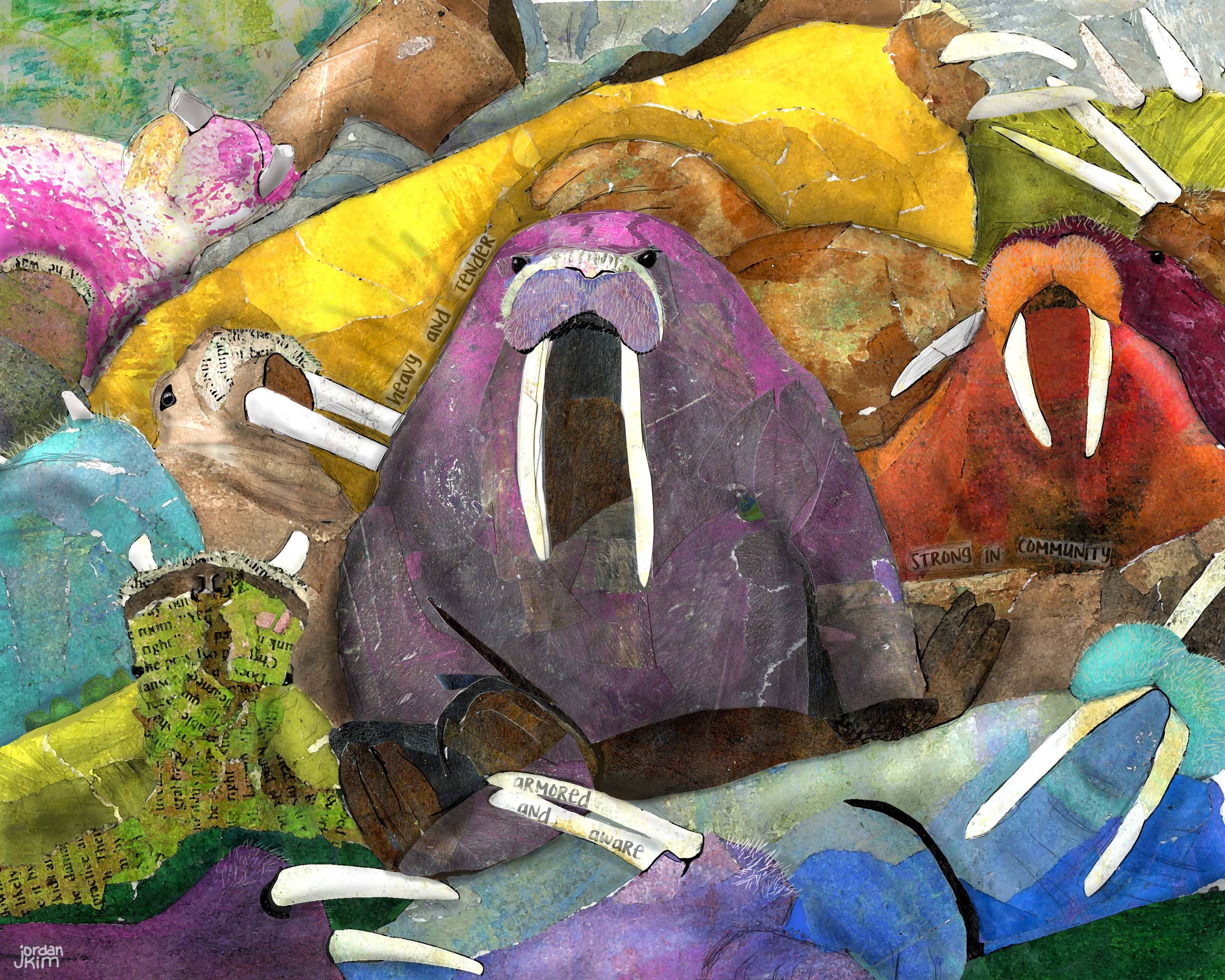 Found & Rewound - Wholesale Art Print - Walrus -  print1