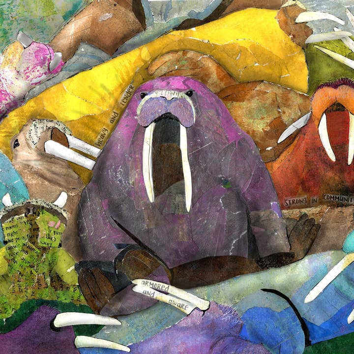 Found & Rewound - Wholesale Art Print - Walrus - print1