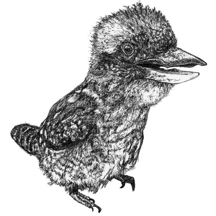 @wildcardsue - Wholesale Art print - Kookaburra - Mu Mu the Kookaburra