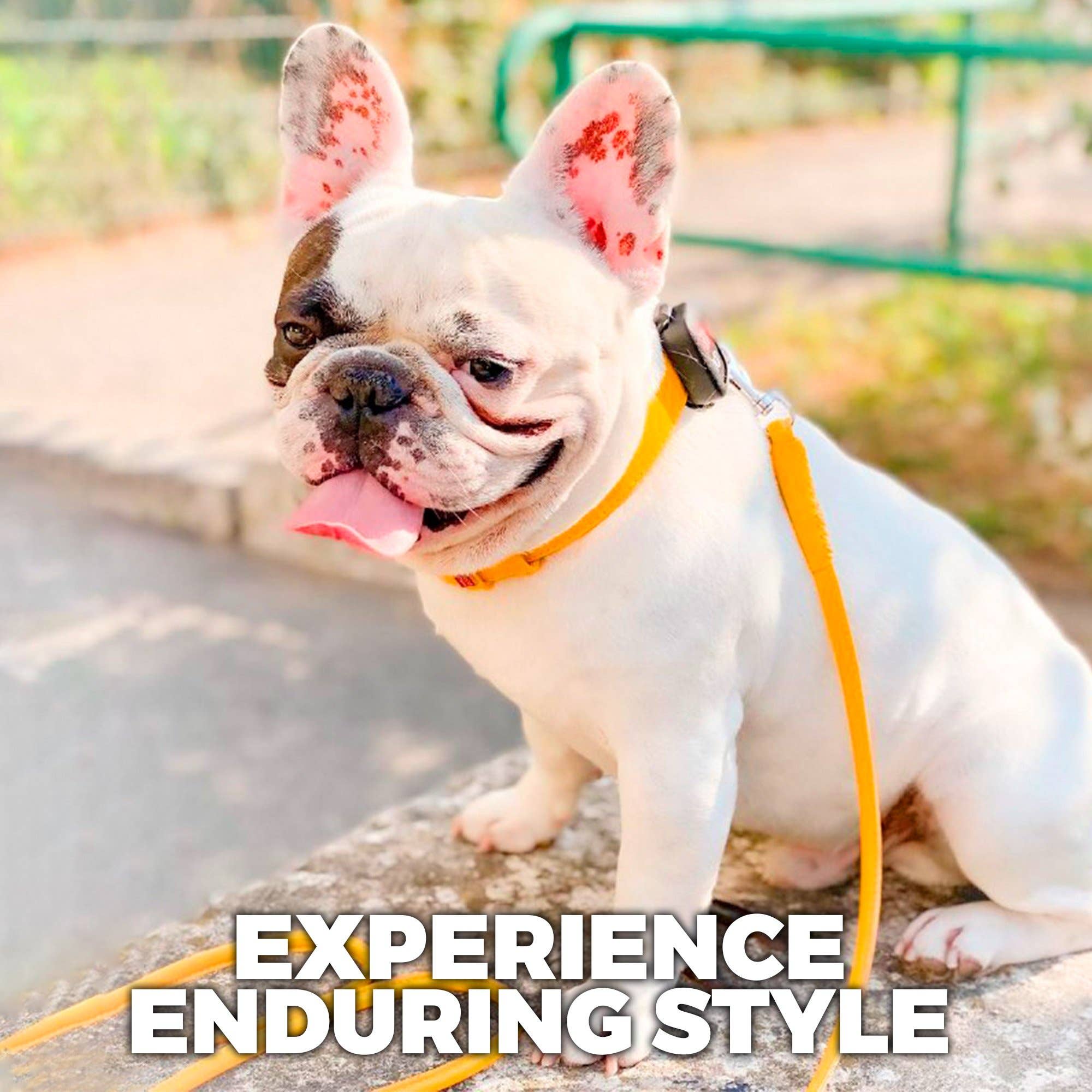 WAUDOG - Wholesale Pet Leash - Dog - Glamour Reinforced Rolled Leather Leash With Metal Clip3