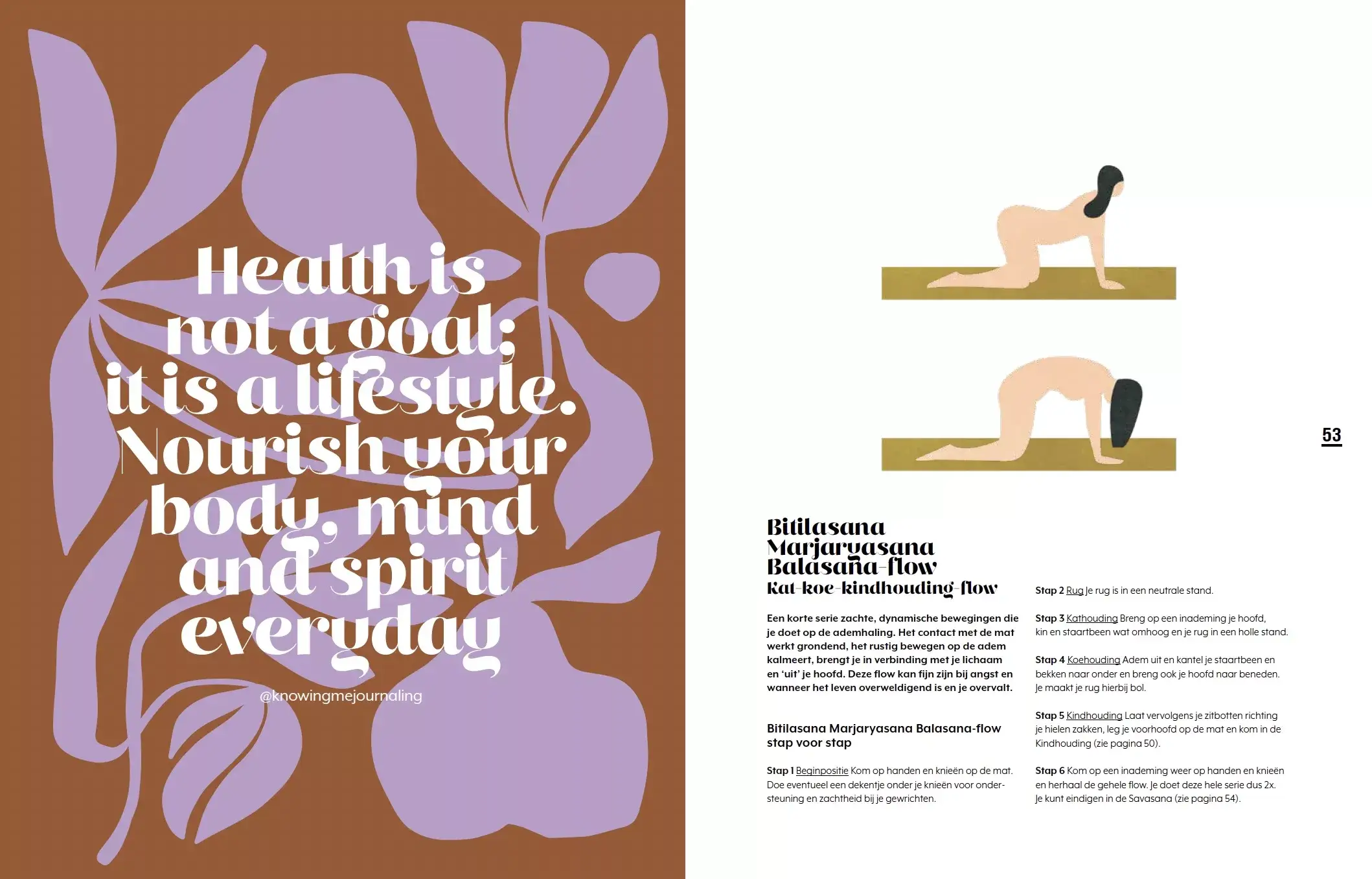 Uitgeverij Snor - Vente Livre sur le corps, l'esprit et l'âme - Holy Happy Hormones, traverser la ménopause avec l’Ayurveda3