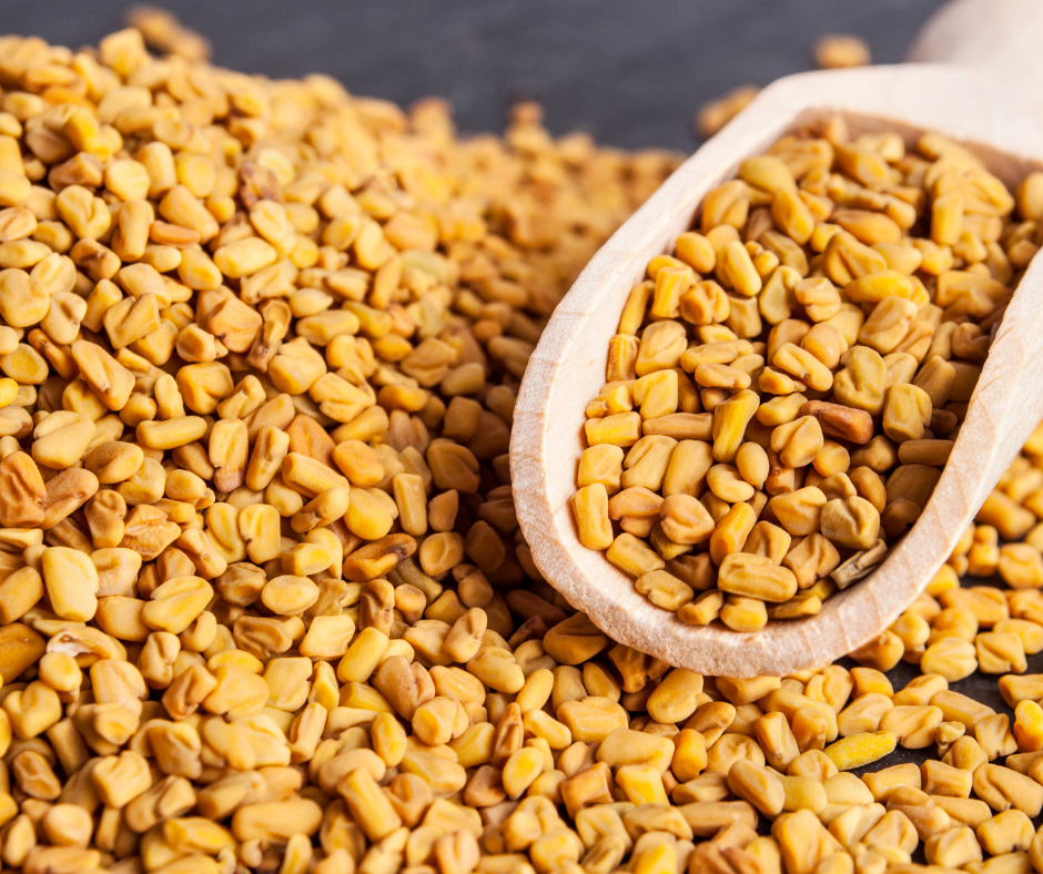 Cibobenessere - Wholesale Protein/Superfood Powder - Fenugreek Powder - Organic Product2