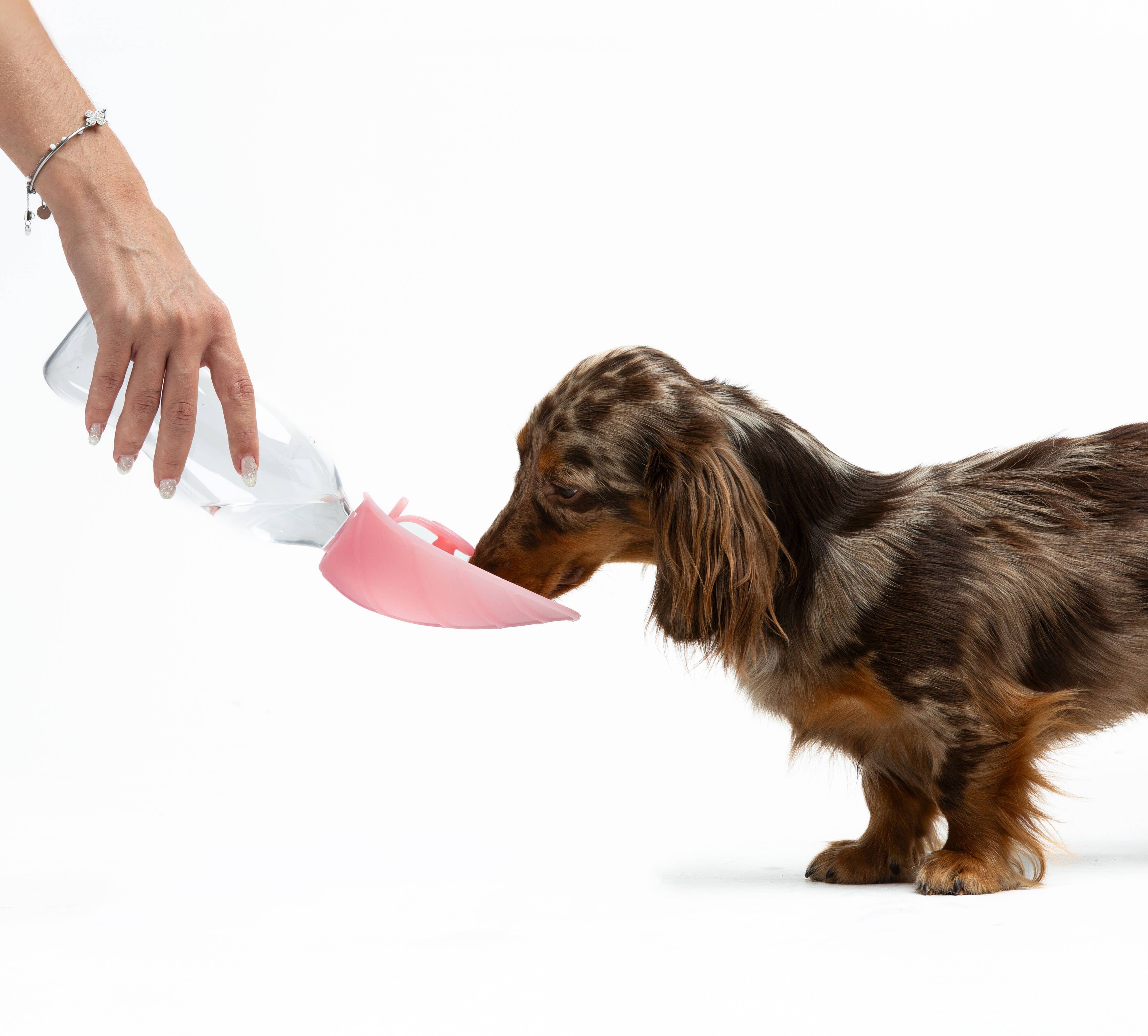 United Pets - Wholesale Water Bottle - Universal water dispenser with anti-drip valve7