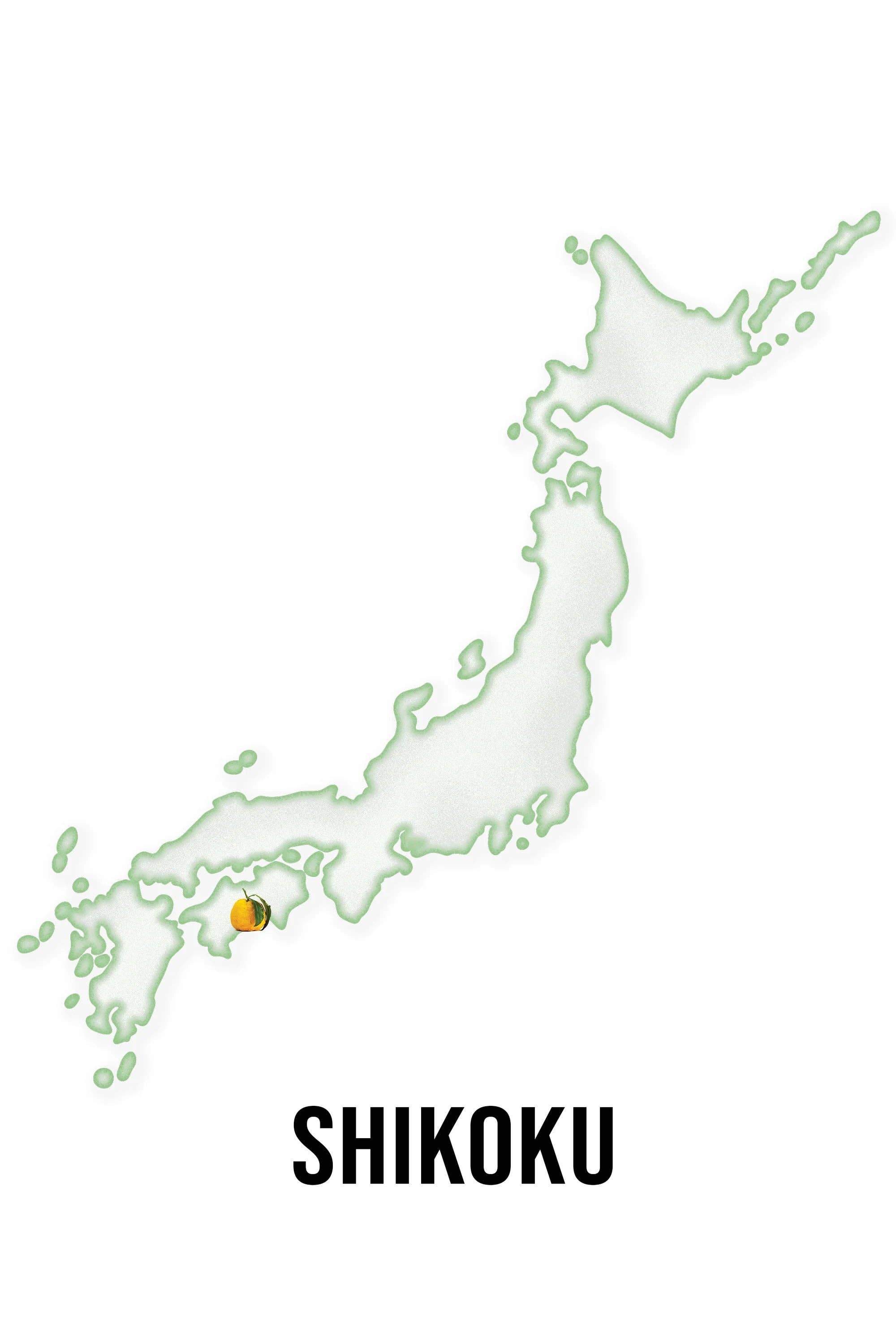 KIMINO Europe – Großhandel Soda/kohlensäurehaltiges Getränk – KIMINO Europe Yuzu Sprudelgetränk – 24 x 250 ml3