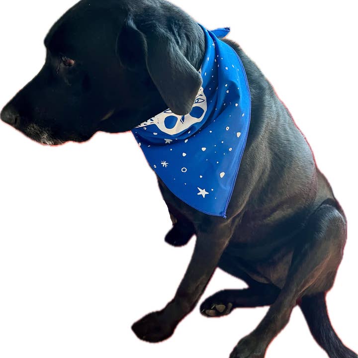 ELIZABETH GRAEBER art + illustration - Wholesale Bandana - Women's - Owl Bandana, screen printed cotton scarf3