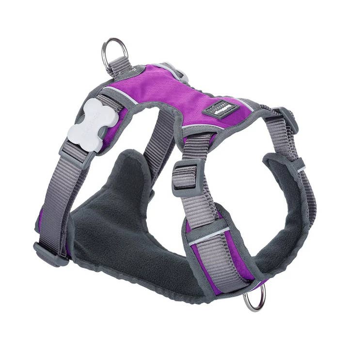 Red Dingo Dog Padded Harness Purple for wholesale by Sherwood Paws