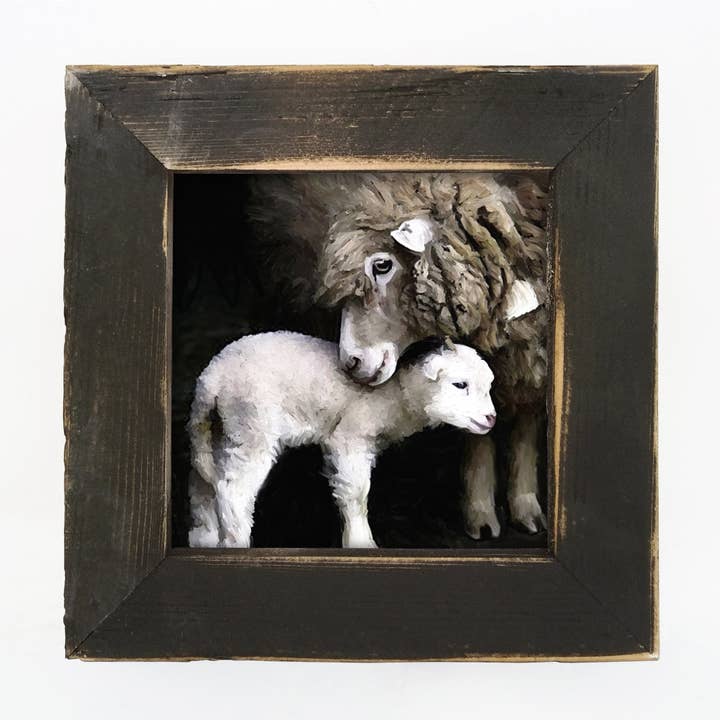 ginger blue - Wholesale Art Print - New born sheep6
