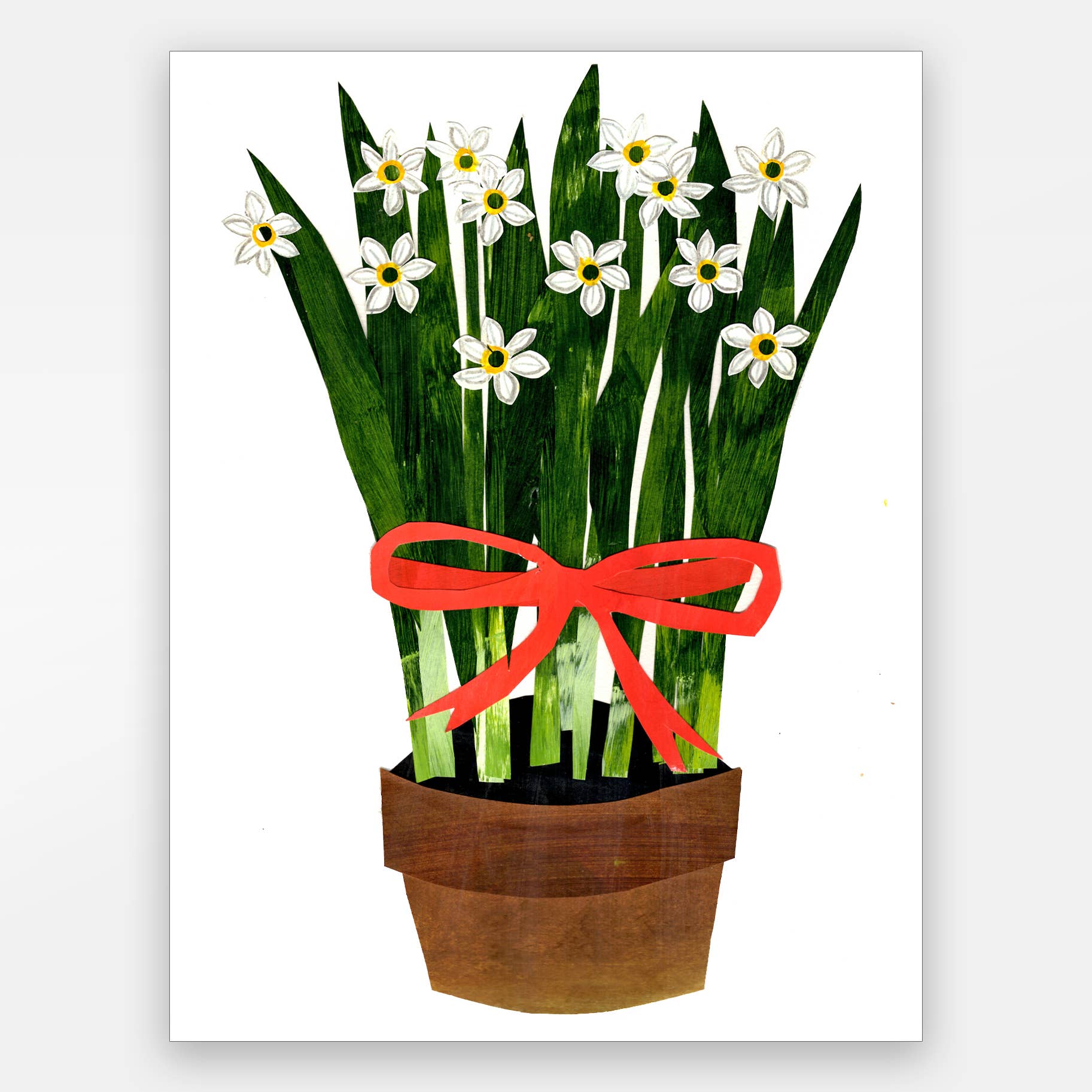 Paste - Wholesale Everyday Greeting Card - Paper Whites With Red Ribbon Card0