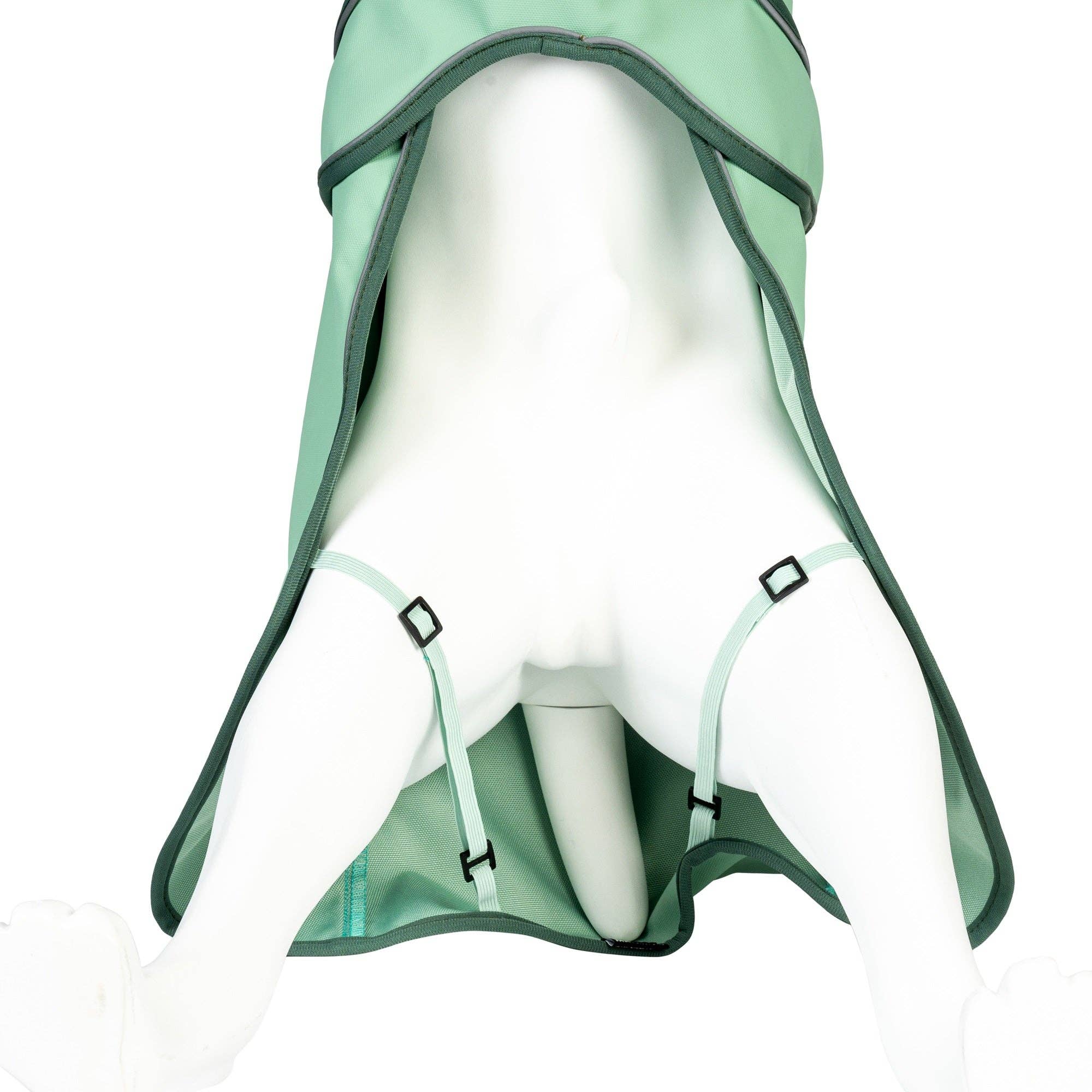 Max & Molly - Wholesale Pet Raincoat - Dog - Raincoat For Dogs - Matrix 2.0 Jade5
