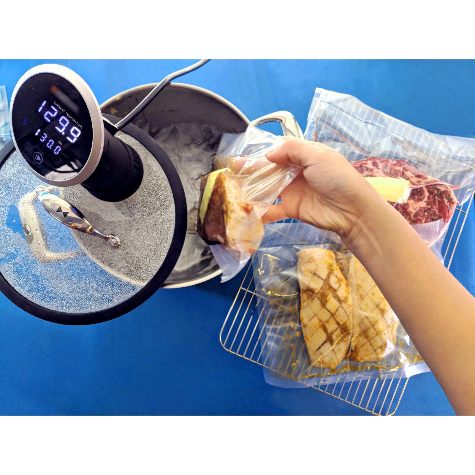 Lynns - Wholesale Cooking Pot - Triply 9.8-Quart Stockpot w/ Portal in Lid for Sous Vide6