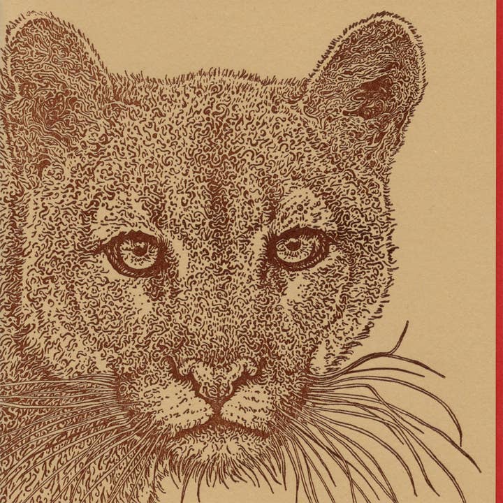 Dandy Lion Press - Wholesale Everyday Greeting Card - Cougar Mountain Lion Letterpress Card1