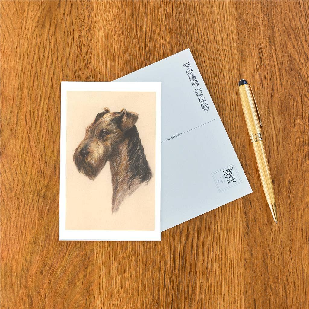 Found Image Press - Wholesale Postcard - Postcard DG-182 Airedale1