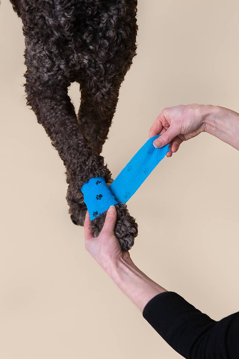 PATCH (Aus) - Eco First Aid - Wholesale Pet Cleaning Supplies - PATCH Pet Eco First-Aid Kit for Pets4