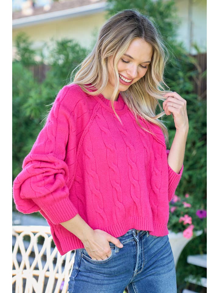 Nicabel - Wholesale Knit Sweater - Women's - Plus raglan sleeve cable knit sweater-PSW941911