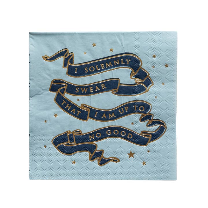 Bonjour Fête - Venta al por mayor Servilletas desechables - SERVILLETAS PARA FIESTAS PEQUEÑAS DE HARRY POTTER X BONJOUR FÊTE HOUSE PRIDE2