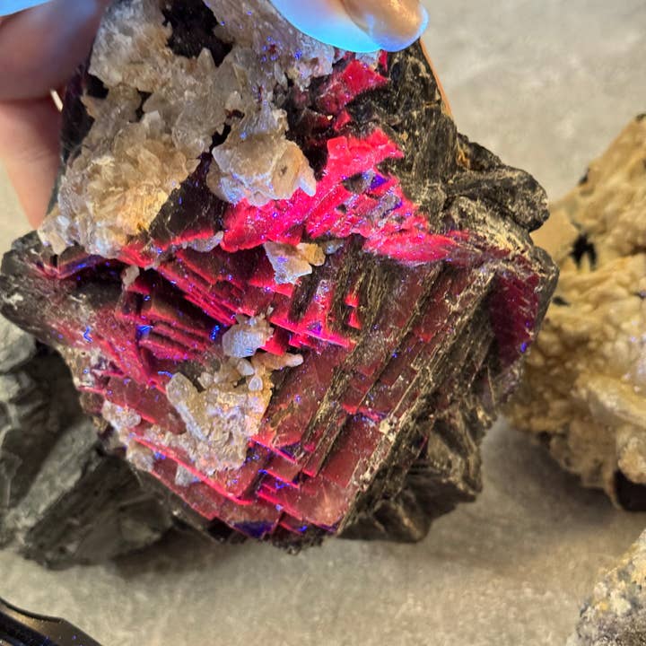 Mandala Gems - Wholesale Spiritual Stone/Crystal - Huge Black Rose Fluorite Specimens, Rare Fluorite, Fluoresce Red or Pink